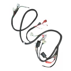 Arnes completo para motocicleta DS150 SL FT150