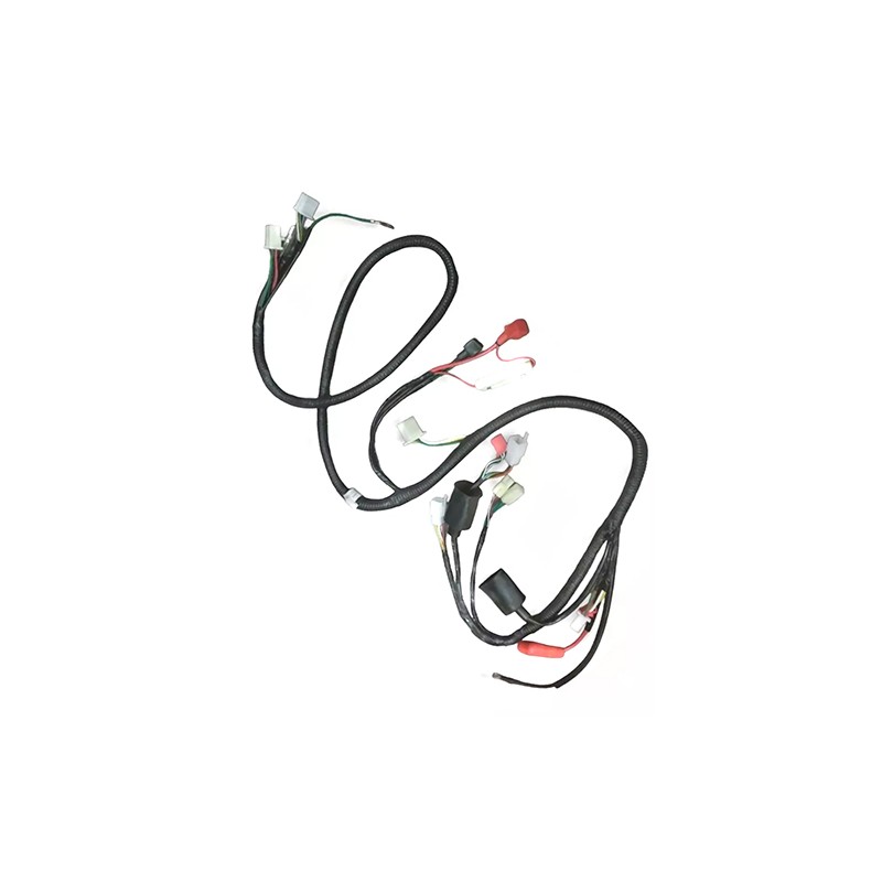 Arnes completo para motocicleta DS150 SL FT150