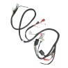 Arnes completo para motocicleta DS150 SL FT150