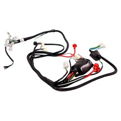 Arnes para motocicleta Ovni 170 Alessia