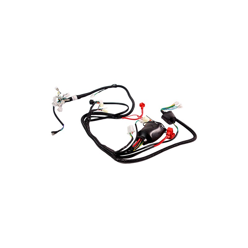 Arnes para motocicleta Ovni 170 Alessia