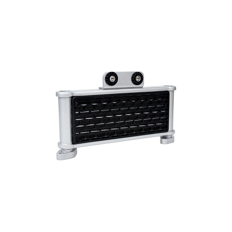 Radiador para motocicleta Alpina 300 Alessia