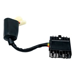 Regulador para motocicleta Alpina 300 Alessia