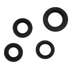 Retenes de motor para motocicleta CS125 DS125 DS150 WS150 SPORT BIT150 CROSS 150 W150 GS150 GTS175