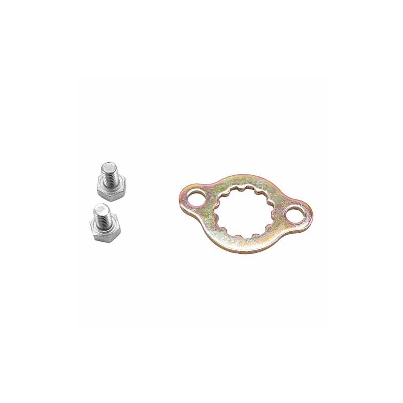Seguro de piñon para motocicleta Alpina 300 Alessia