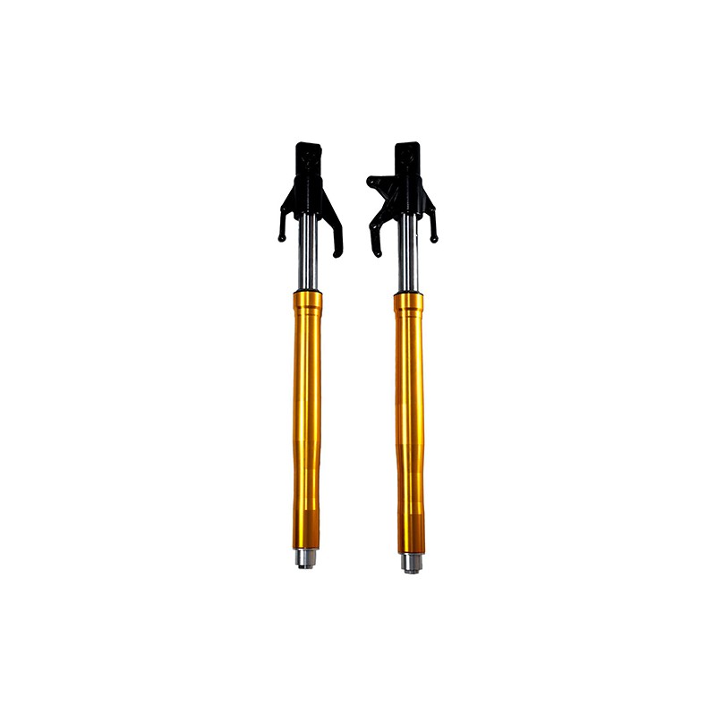 Barra de suspension para motocicleta Alpina 300 Alessia