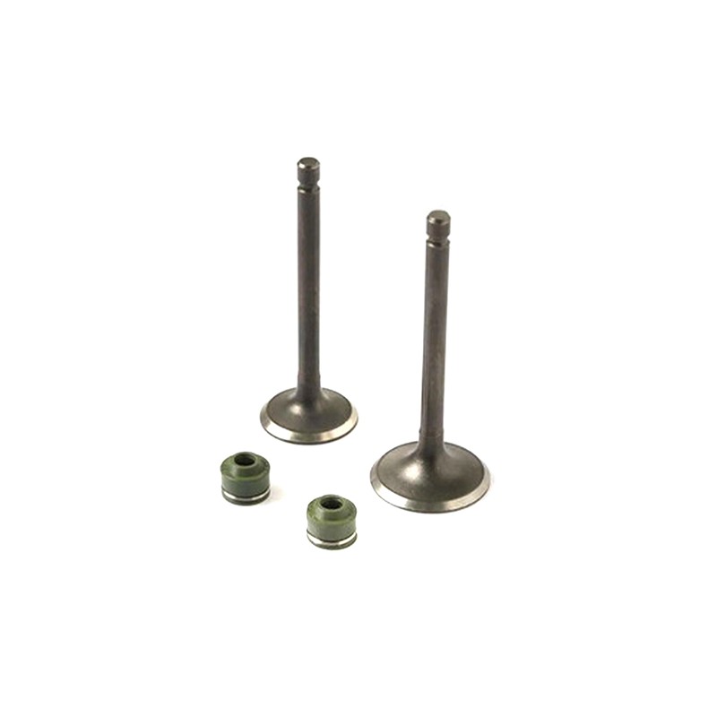 Valvulas Calidad Gold (Iron Box) YBR - 125