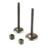 Valvulas Calidad Gold (Iron Box) YBR - 125