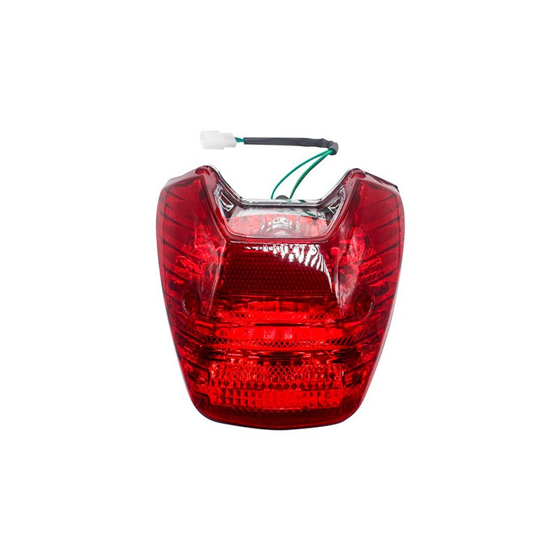 Calavera para motocicleta DM250