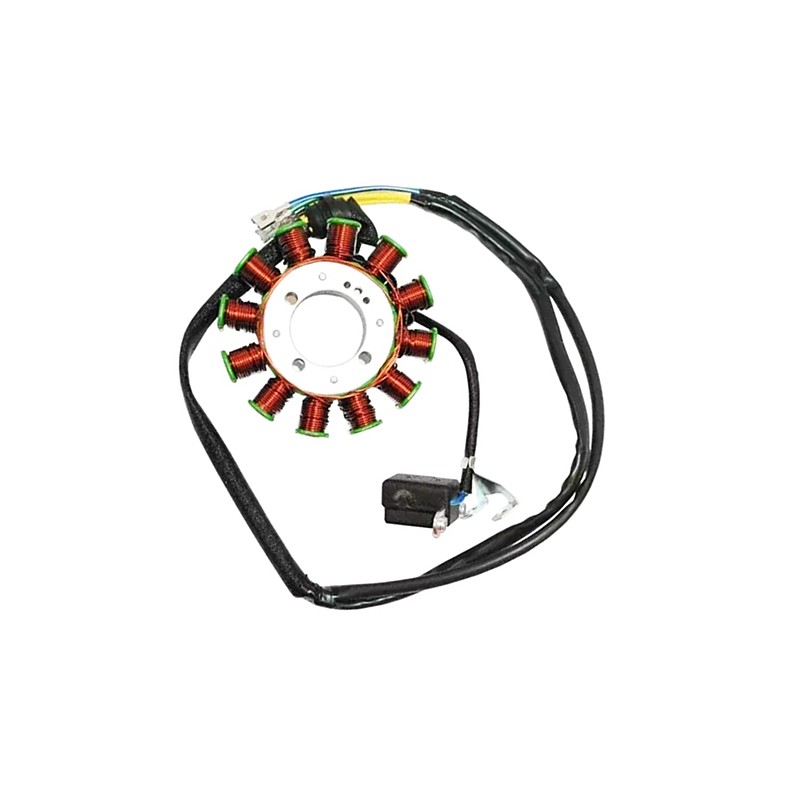 Estator (corona) 12 bobinas para motocicleta 250Z