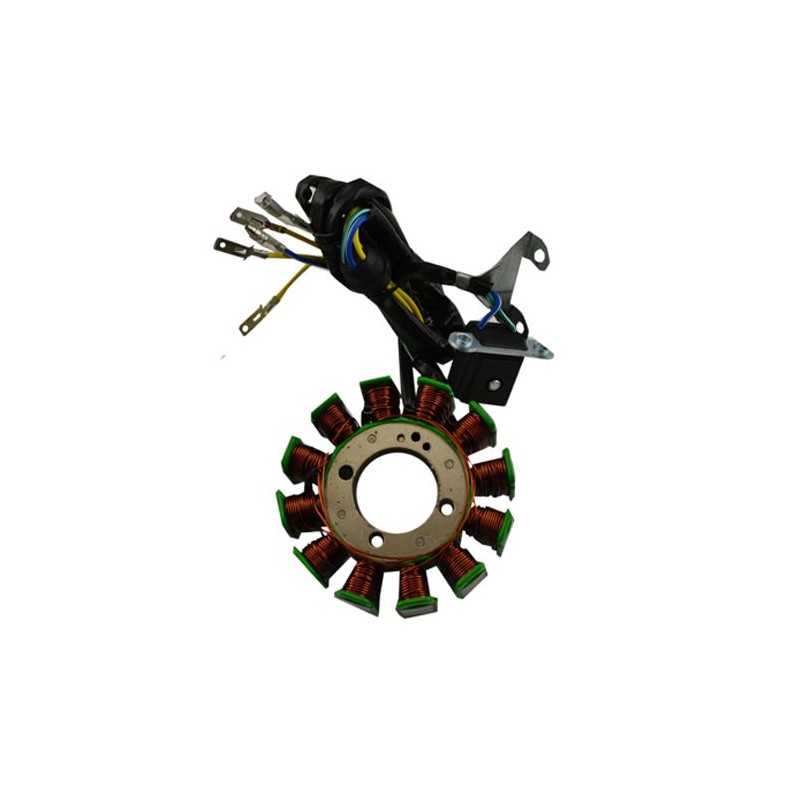Estator 12 bobinas para motocicleta EX200 RT200