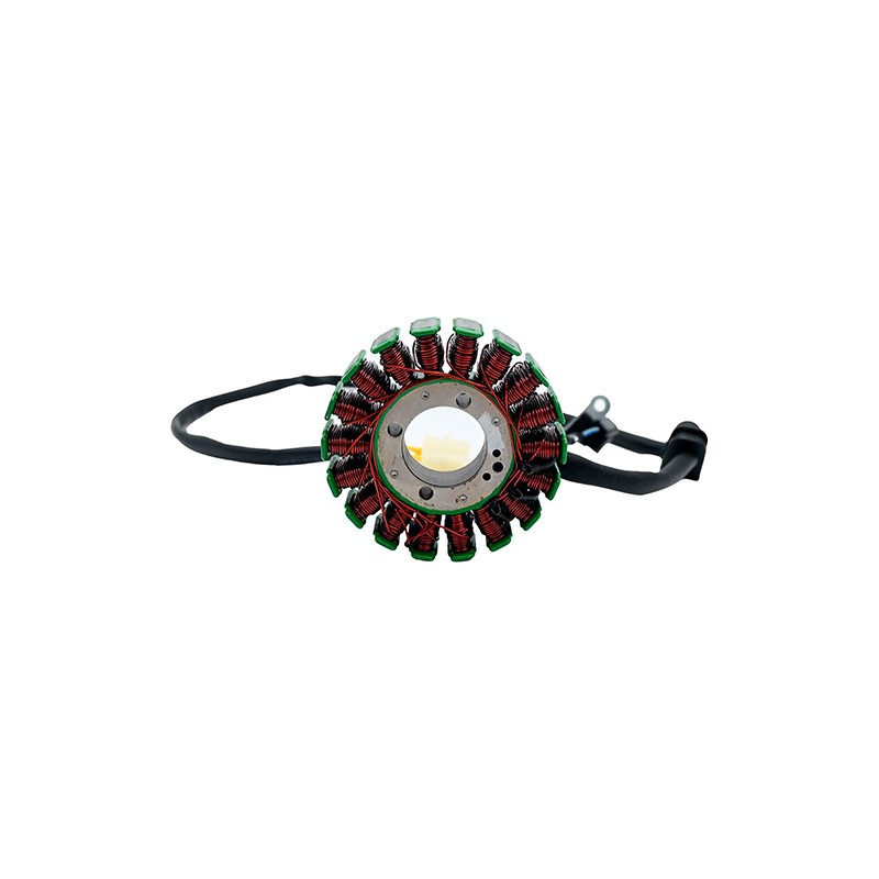 Estator 18 bobinas para motocicleta Alpina 300 Alessia