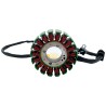 Estator 18 bobinas para motocicleta Alpina 300 Alessia