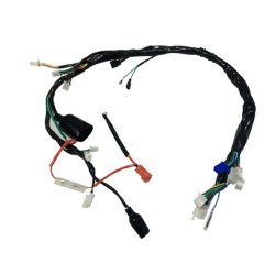 Arnes principal D125 original italika