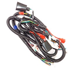 Arnes principal D150 original italika