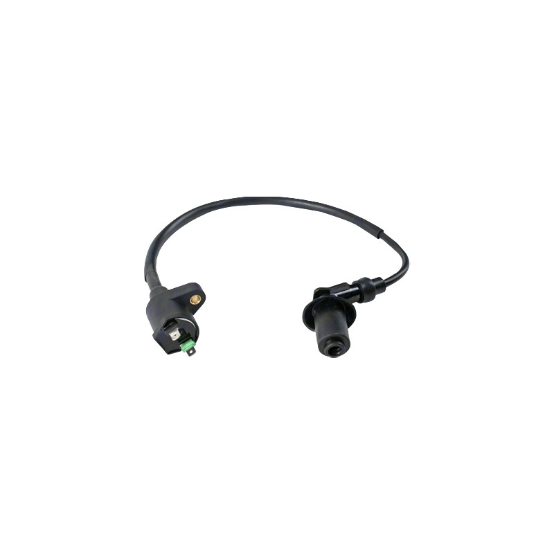 Bobina de encendido para motocicleta DS150 WS150 Sport Bit 150 Cross 150 W150 GS150 original Italika