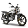 Motocicleta Italika FT150 GTS Gris
