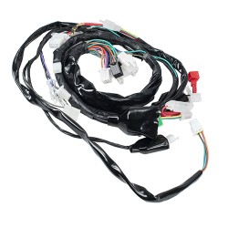 Arnes completo para motocicleta Italika 250z Kinlley