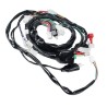 Arnes completo para motocicleta Italika 250z Kinlley