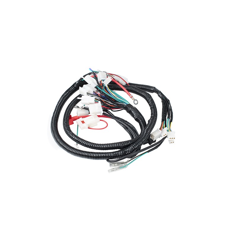 Arnes completo para motocicleta Italika D125Lt Kinlley