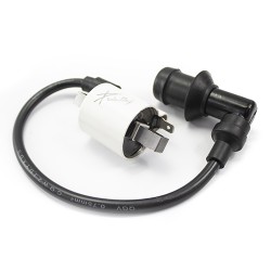 Bobina con cable para motocicleta Boxer 150 BM 150 Pulsar NS200 Kinlley