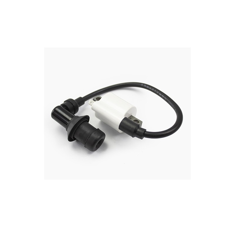 Bobina con cable para motocicleta Boxer 150 BM 150 Pulsar NS200 Kinlley