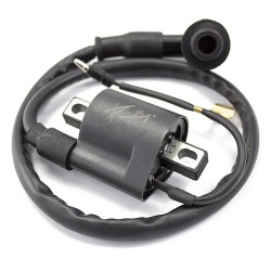 Bobina de encendido para motocicleta AT110 FT125 FT150 Kinlley