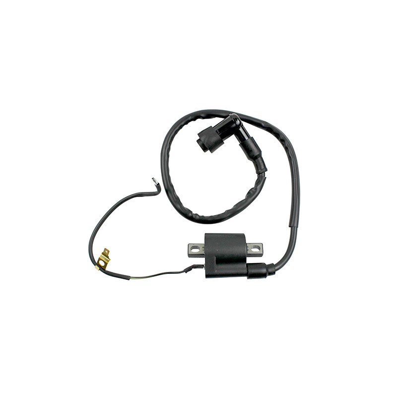 Bobina para motocicleta Cgl 125 Tool