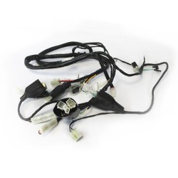 Arnes completo para motocicleta Cargo 150 Sayto