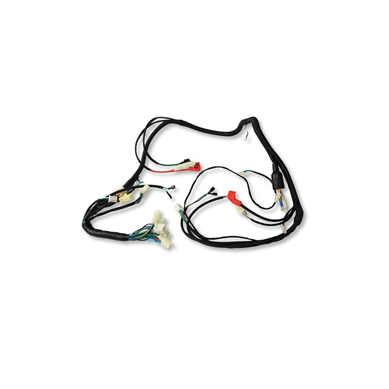 Arnes completo para motocicleta Ws 150 Sport Sayto