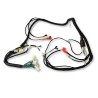 Arnes completo para motocicleta Ws 150 Sport Sayto