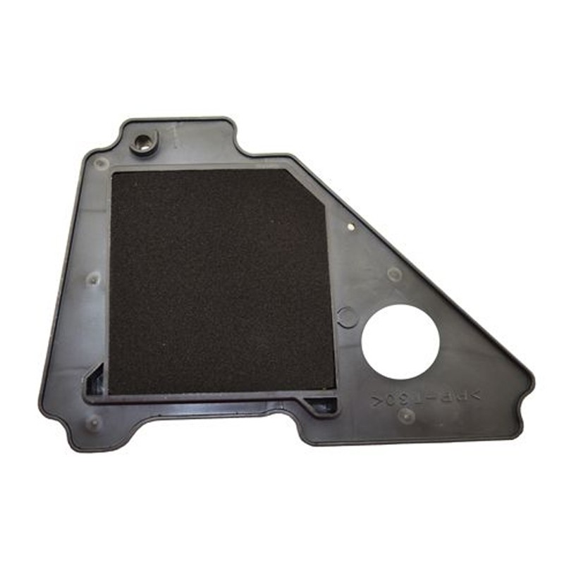 Filtro de aire completo YBR125 08 - 09