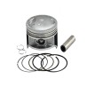 Piston con Anillos Axis90 Xenon Triton Zip 51.75