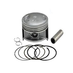 Piston con Anillos Axis90 Xenon Triton Zip 5400