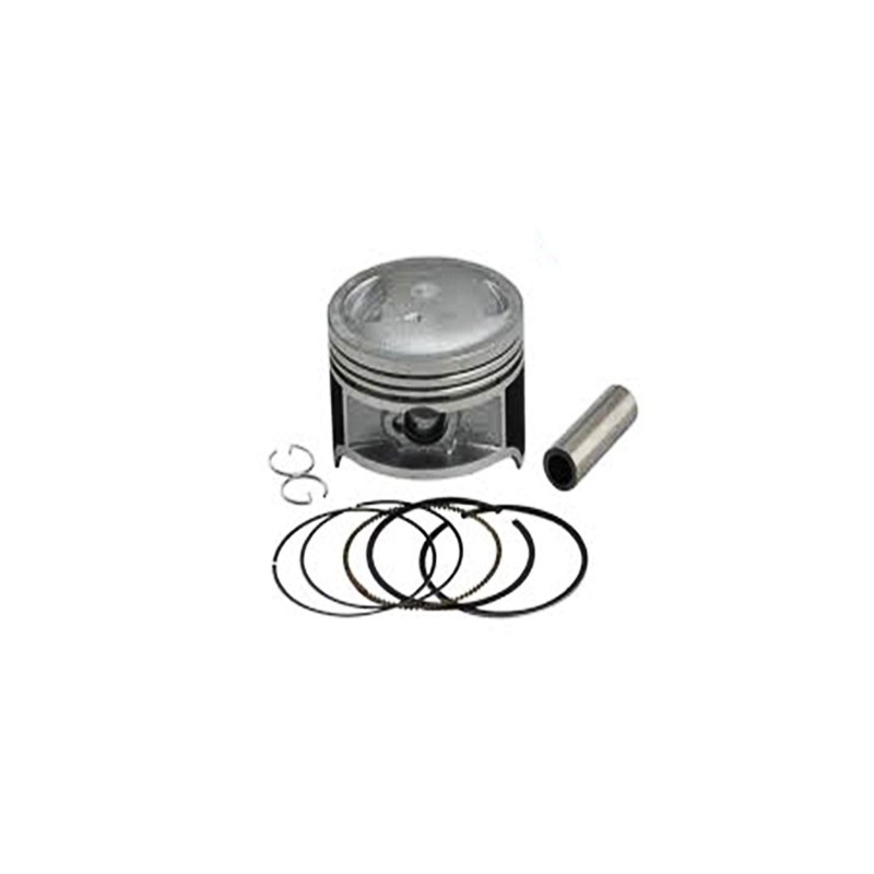 Piston con Anillos Axis90 Xenon Triton Zip 5400