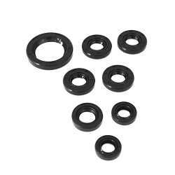 Retenes de motor para motocicleta  PULSAR NS200 Sayto