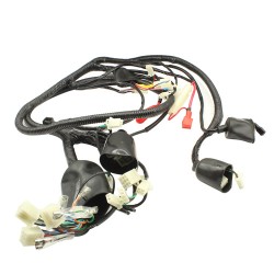 Arnes completo para motocicleta Cross 3.0 175 Jiajue
