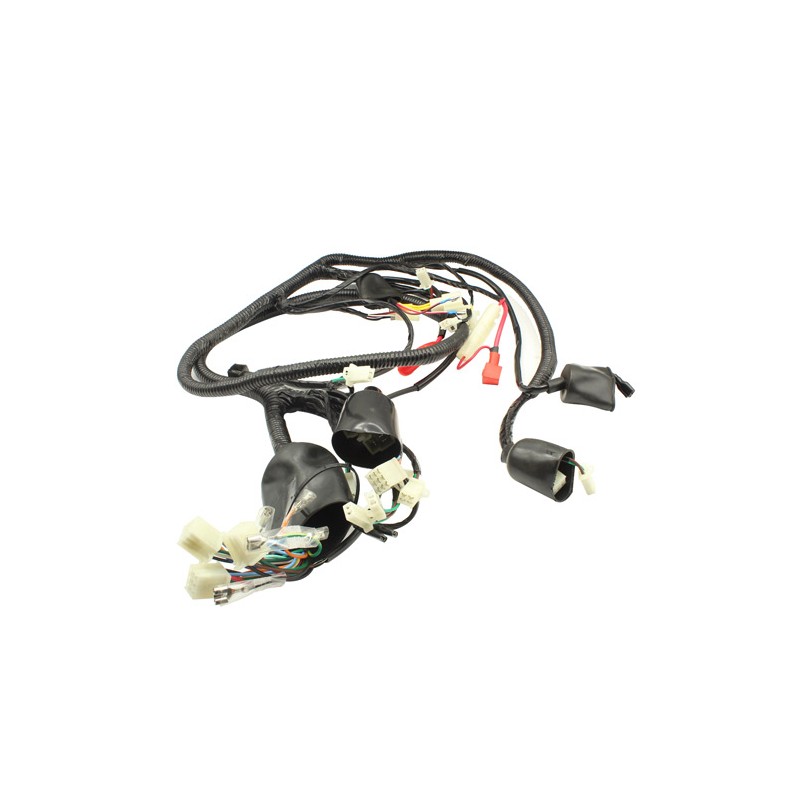 Arnes completo para motocicleta Cross 3.0 175 Jiajue
