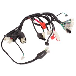 Arnes completo para motocicleta SAM 175 Jiajue