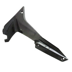 Targa inferior derecha R15 Jiajue