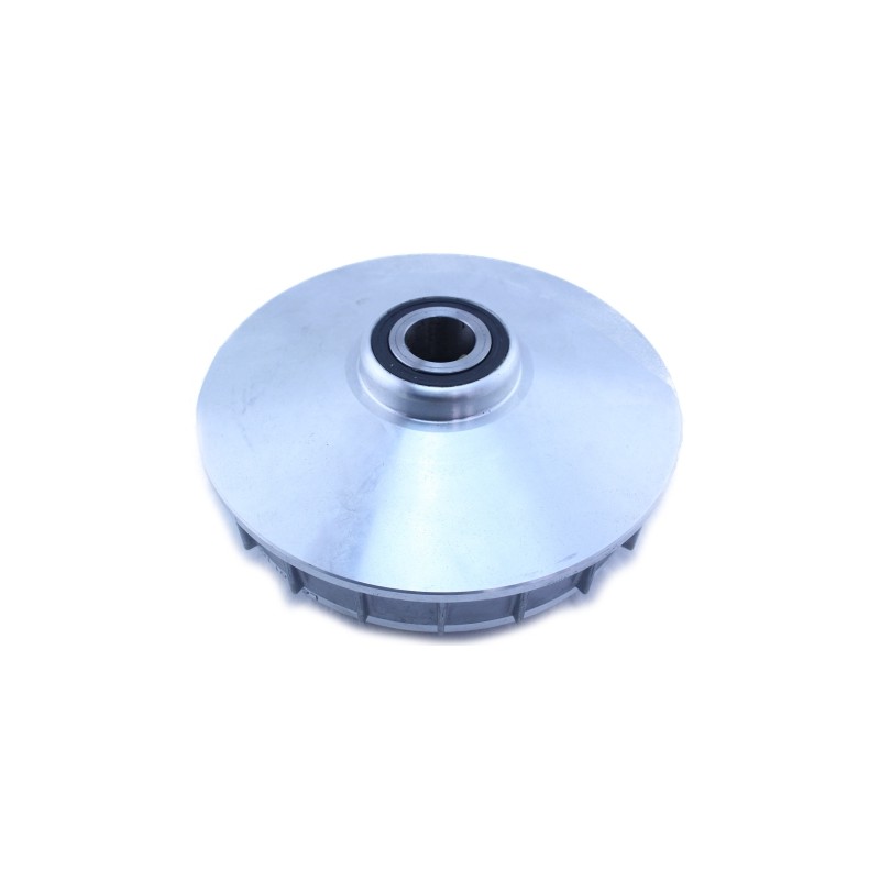 Variador completo de roller Citycom 300i SYM