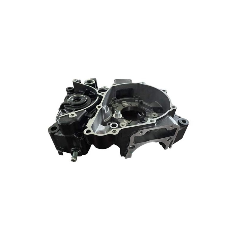 Carter izquierdo para motocicleta HUNK 160 HERO