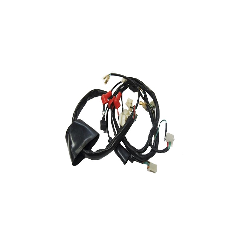 Sistema electrioco completo Work